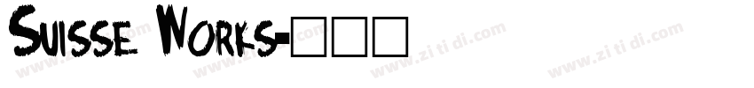 Suisse Works字体转换